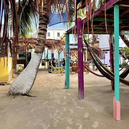 Tropical Oasis Hostel Caye Corker Kültér fotó