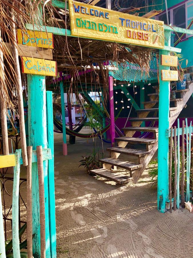 Tropical Oasis Hostel Caye Corker Kültér fotó