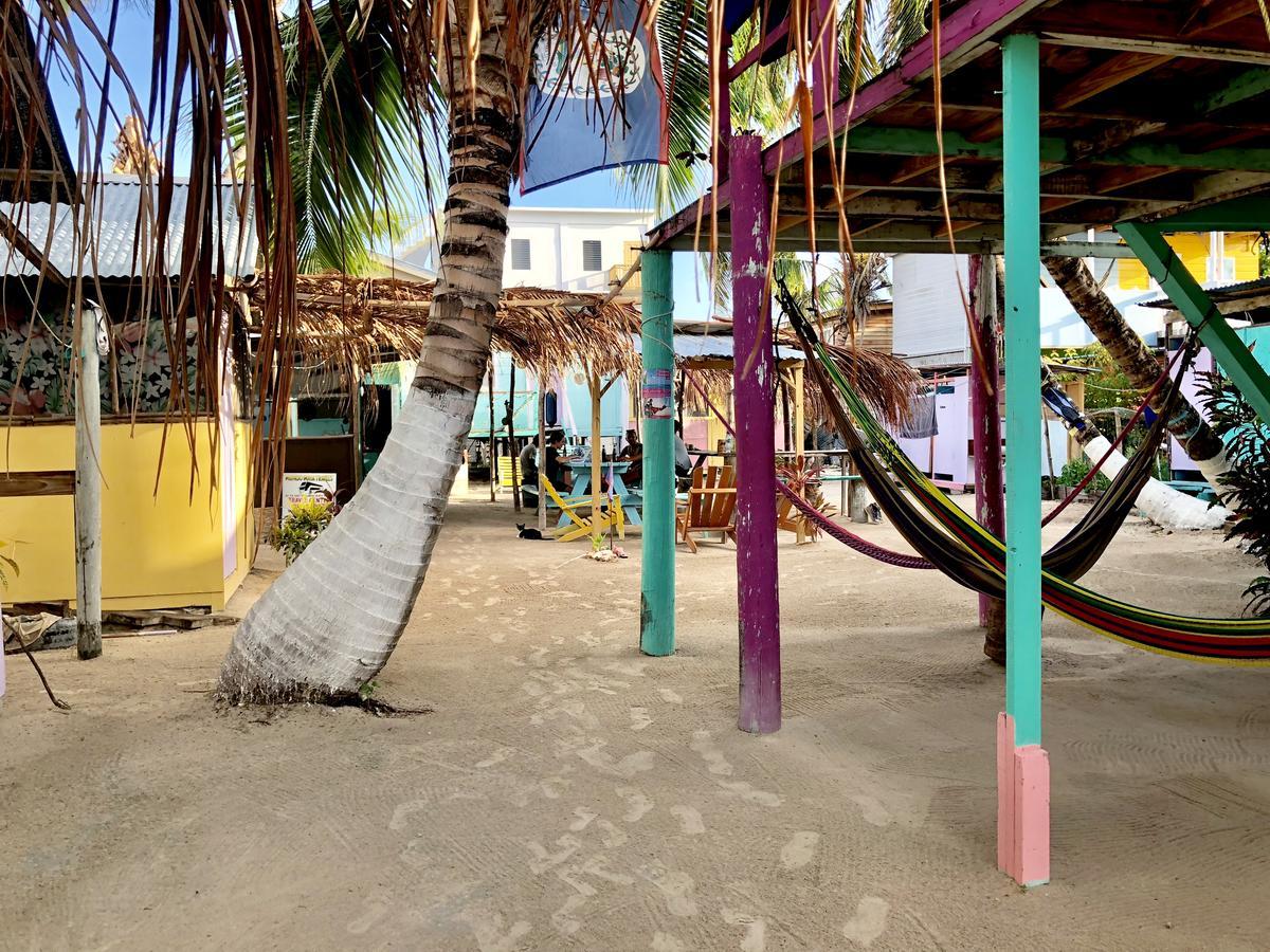Tropical Oasis Hostel Caye Corker Kültér fotó