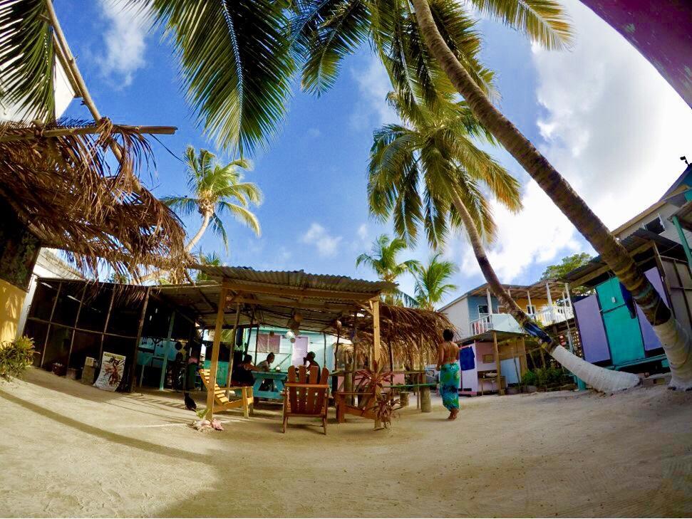 Tropical Oasis Hostel Caye Corker Kültér fotó